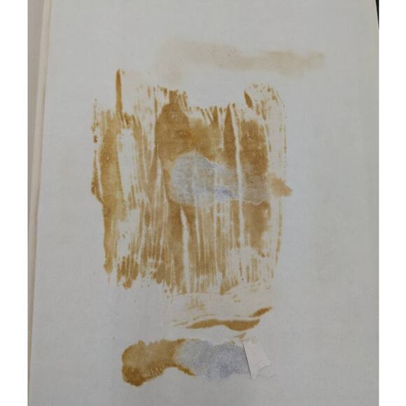 Golden Boats From Burma Life Ann Hasseltine Judson By Gordon Langley Hall 1961 - Picture 11 of 16